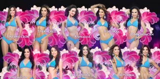 Final Hot Picks Nuestra Belleza México 2016